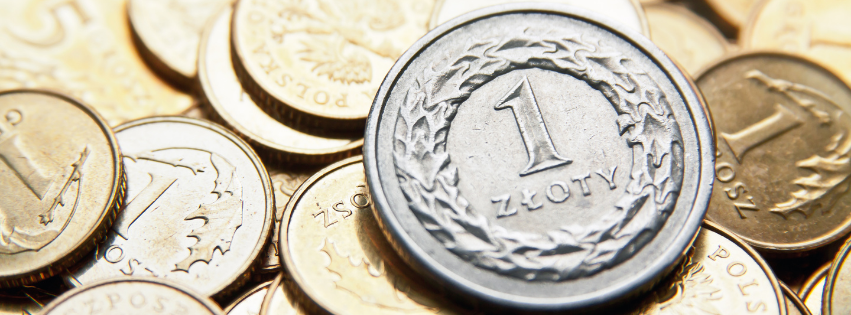 poljski zlot u kovanicama;
Izvor: Canva